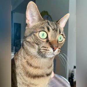 Meet your Posher, Emily